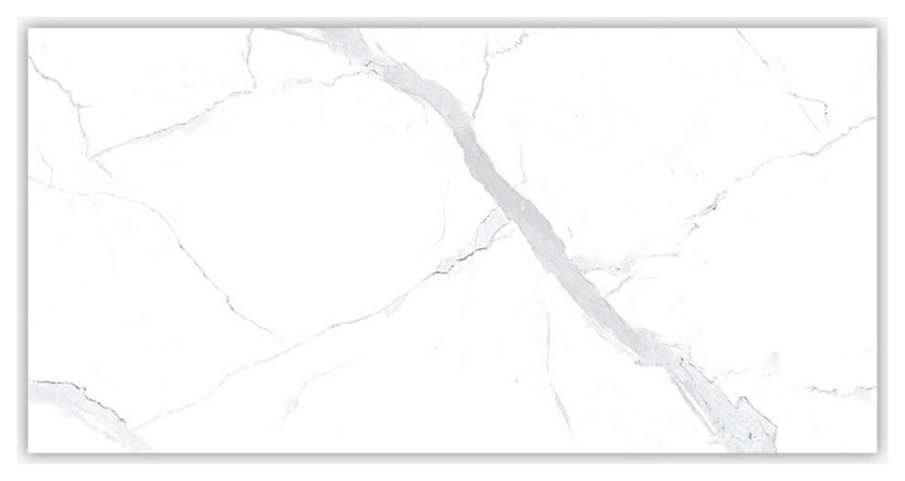 Statuario Matte 24x48 Porcelain Tile