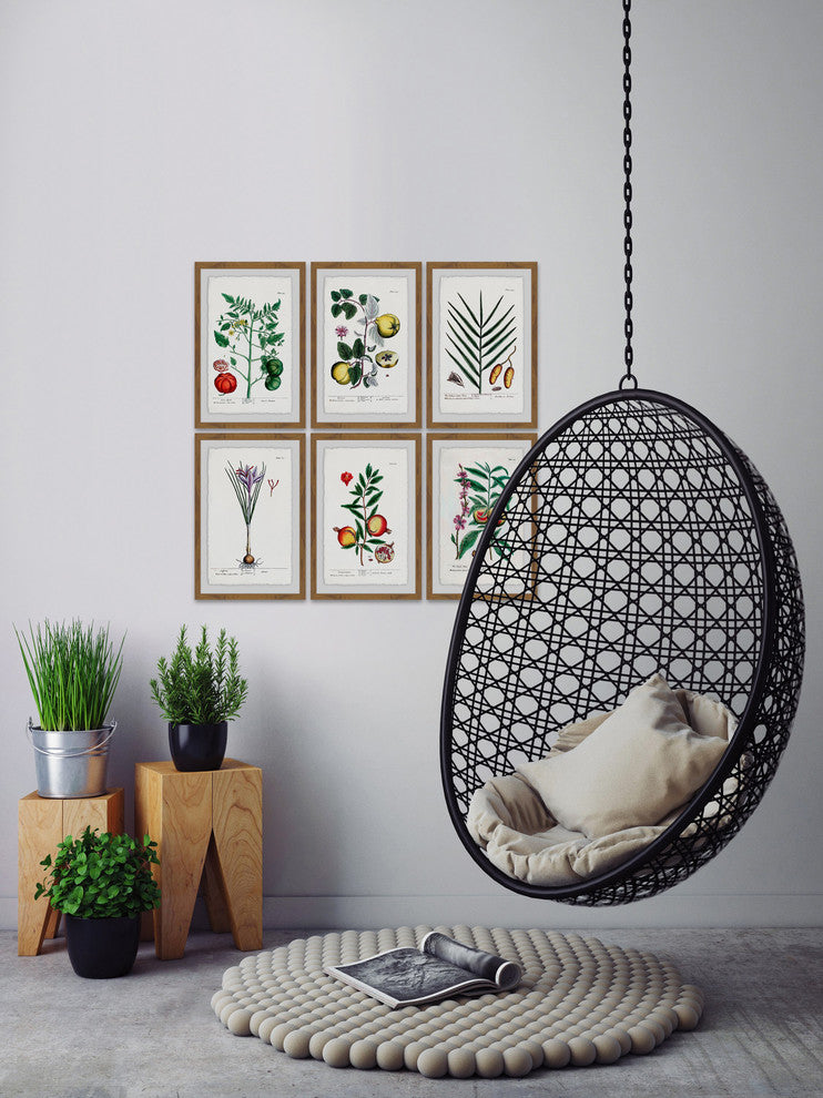 "Plantas Jali Hexaptych" Framed Prints, 24"x36", 6-Piece Set