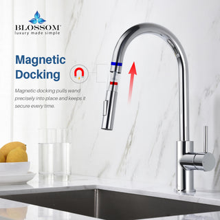 Kitchen Faucet Single Handle Pull Down Kitchen Faucet Chrome
