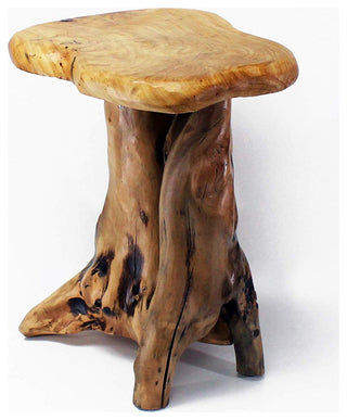 Unique Root End Table
