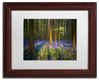 'Mystical Forest' Matted Framed Canvas Art by Mathieu Rivrin