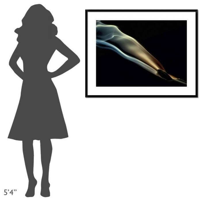 "Silk" Framed Digital Print by Aida Ianeva, 40x32"