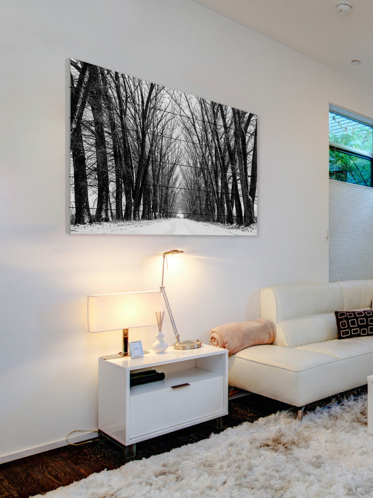 "Rows of Trees" Print on White Wood, 45"x30"