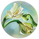White Lily Flower Sketch Watercolor, Floral Disc Metal Wall Art, 36"