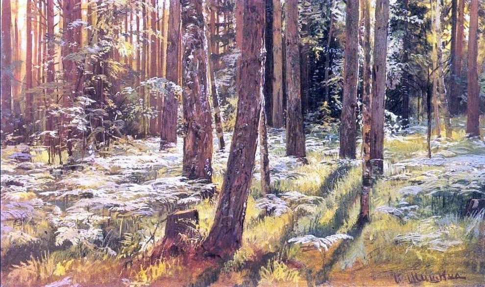 Ivan Ivanovich Shishkin Ferms in a Forest Wall Decal