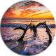 Tree And Waves In The Atlantic Ocean, Seashore Disc Metal Wall Art, 23"