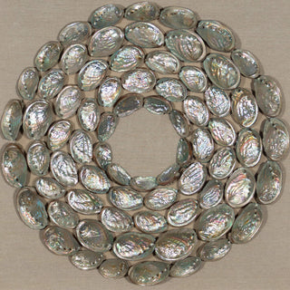 Abalone Shell Rings Shadow Box Wall DÃ©cor