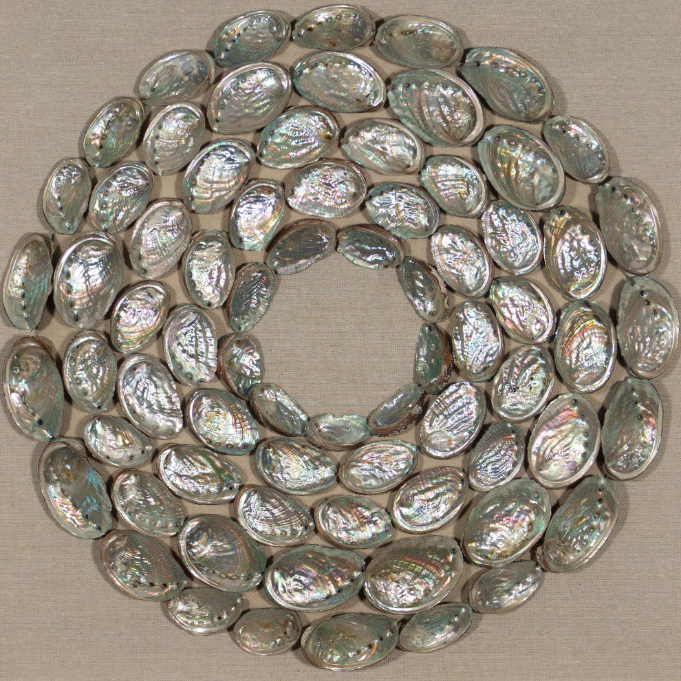 Abalone Shell Rings Shadow Box Wall DÃ©cor