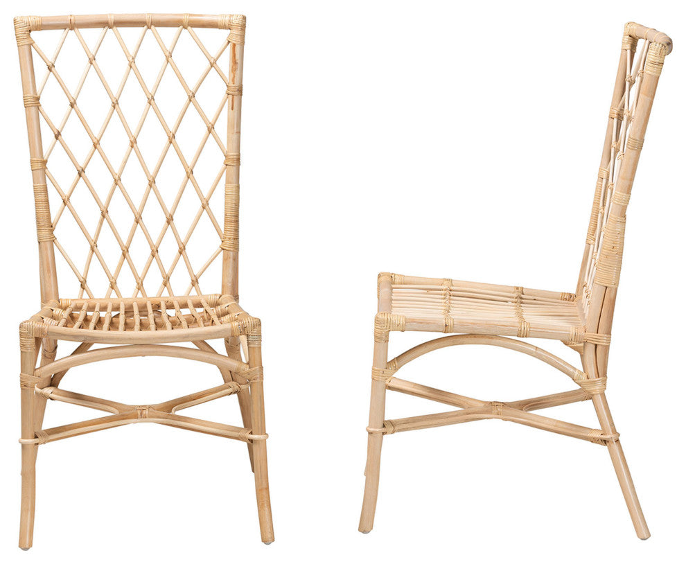 Doria Modern Bohemian Natural Brown Rattan 2-Piece Dining Chair Set