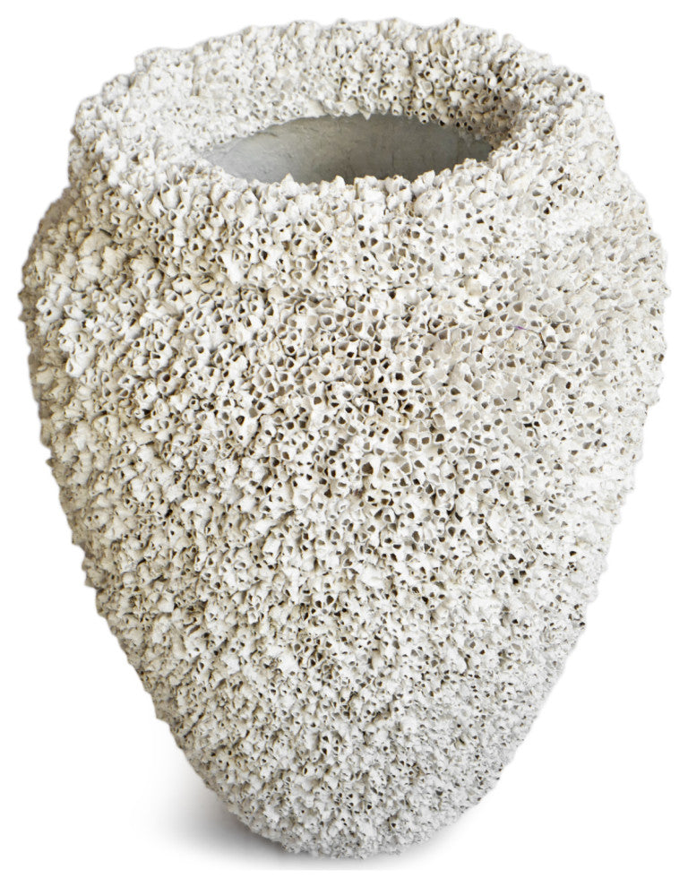 Large White Barnacle Shell Urn