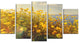 Wild Yellow Flowers Meadow, Floral Canvas Art Print, 60"x32", 5 Panels