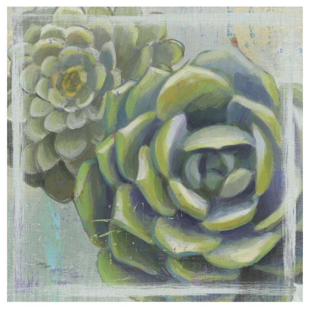 "Succulents II" Digital Paper Print by Wellington Studio, 42"x42"