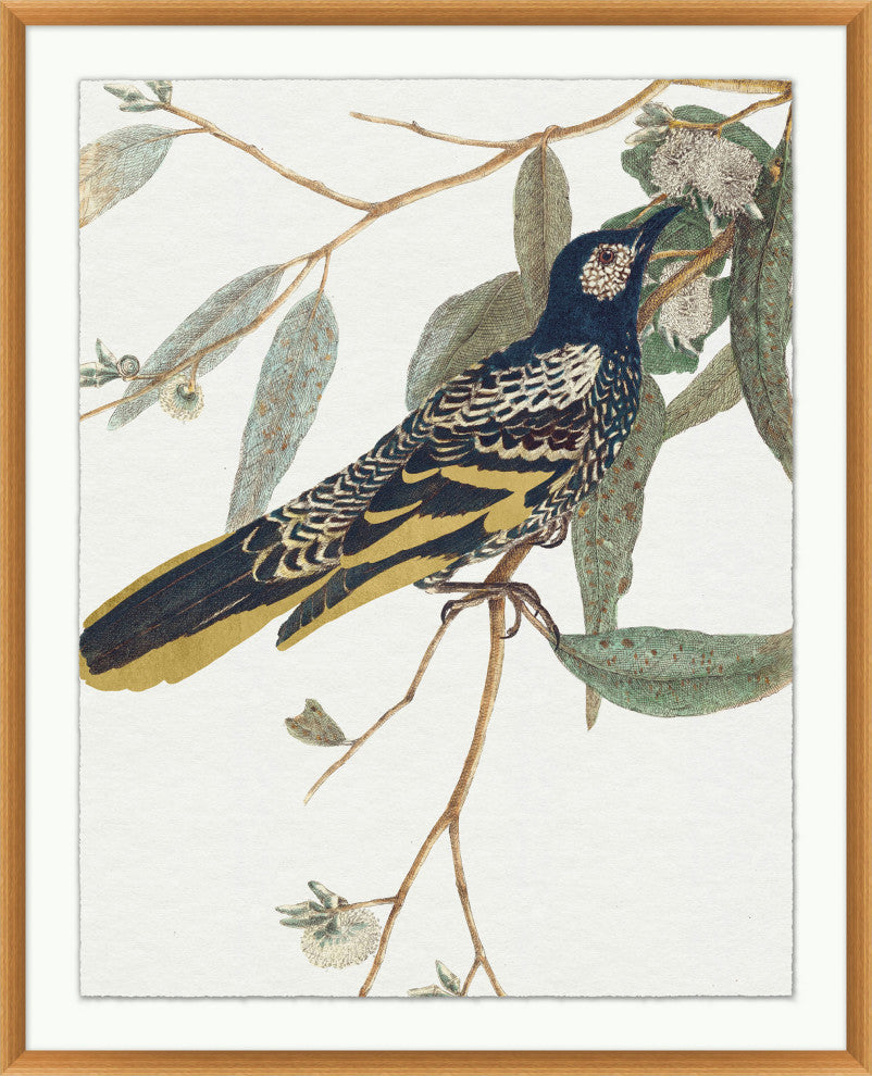 Glistening Bird 1, Giclee Reproduction Artwork