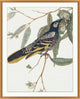 Glistening Bird 1, Giclee Reproduction Artwork