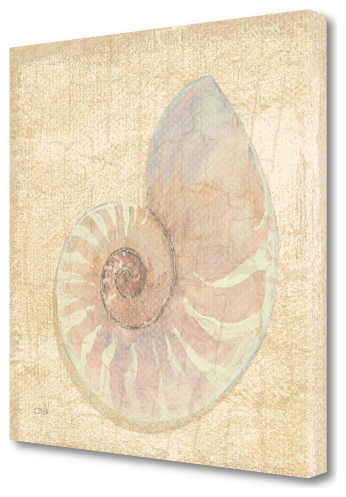 20" Soft Pastel Seashell Giclee Wrap Canvas Wall Art