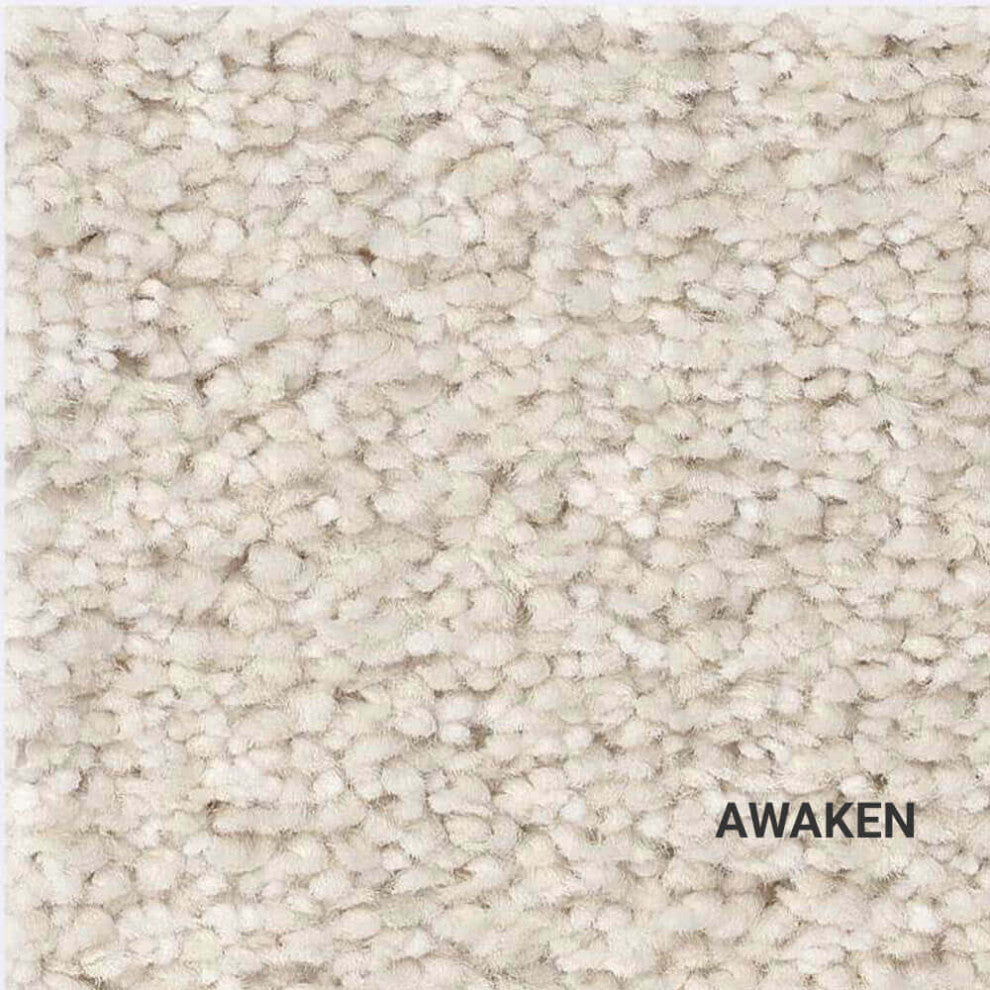 Ombre Whisper Indoor Area Rug Collection, Awaken, 4x10