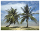 "Palm trees, Agana Beach, Guam" Digital Paper Print by Tim Fitzharris, 34"x26"