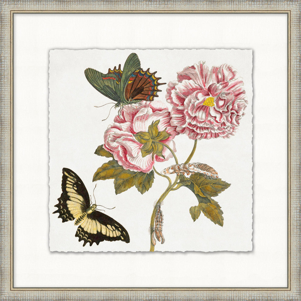 Garden Butterflies 5, Giclee Reproduction Artwork
