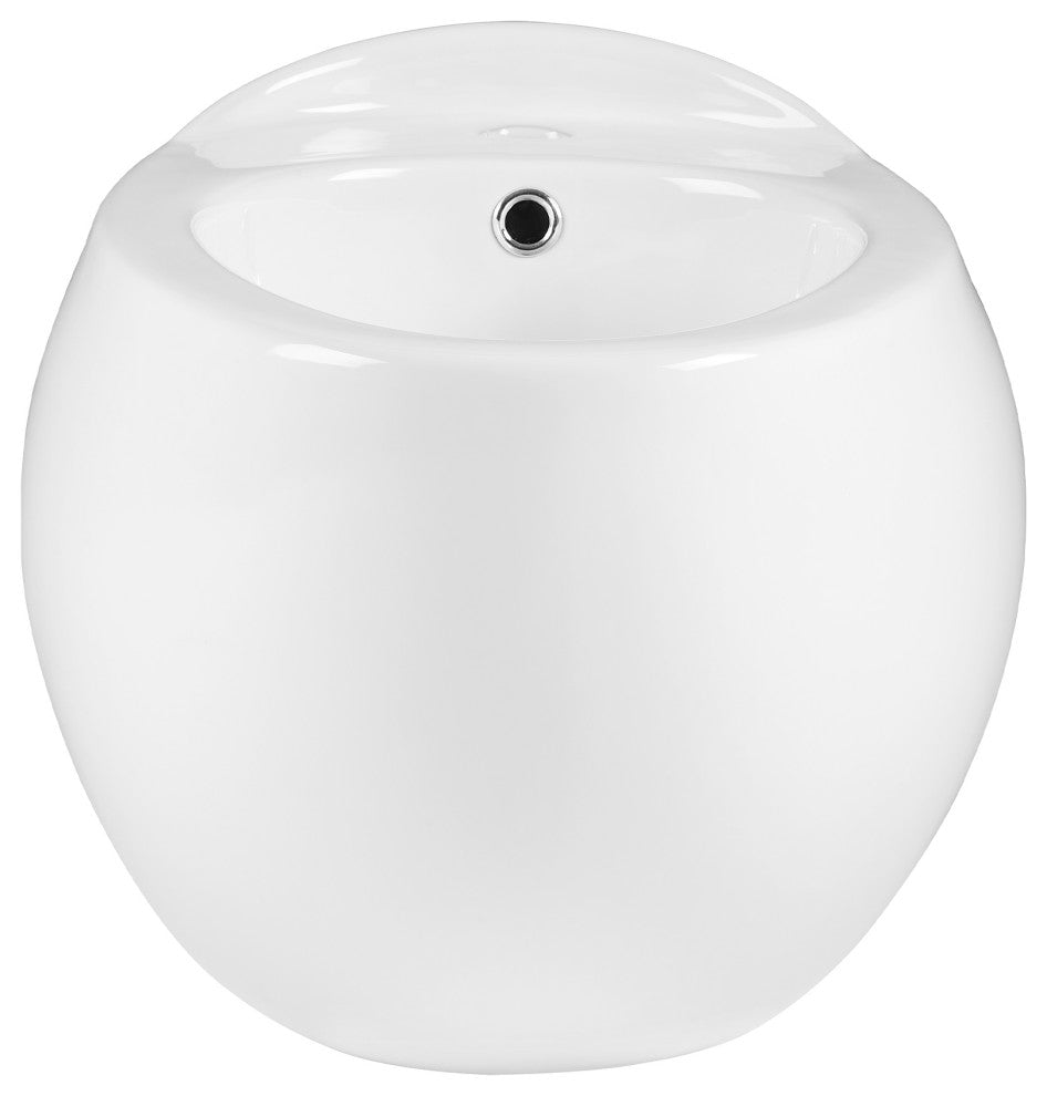 Plaisir Wall Hung Bidet