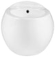 Plaisir Wall Hung Bidet