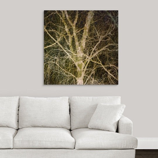 "Woodland Gold I" Wrapped Canvas Art Print, 35"x35"x1.5"