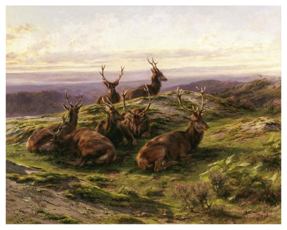 "Stags at Rose" Digital Paper Print by Rosa Bonheur, 18"x15"