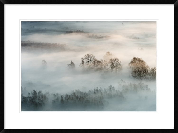 "Winter Fog" Framed Digital Print by Marco Galimberti, 32x24"