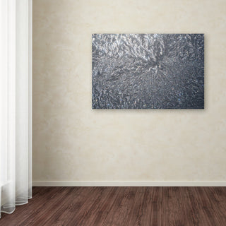 'Sunlight Frost Abstract' Canvas Art by Kurt Shaffer