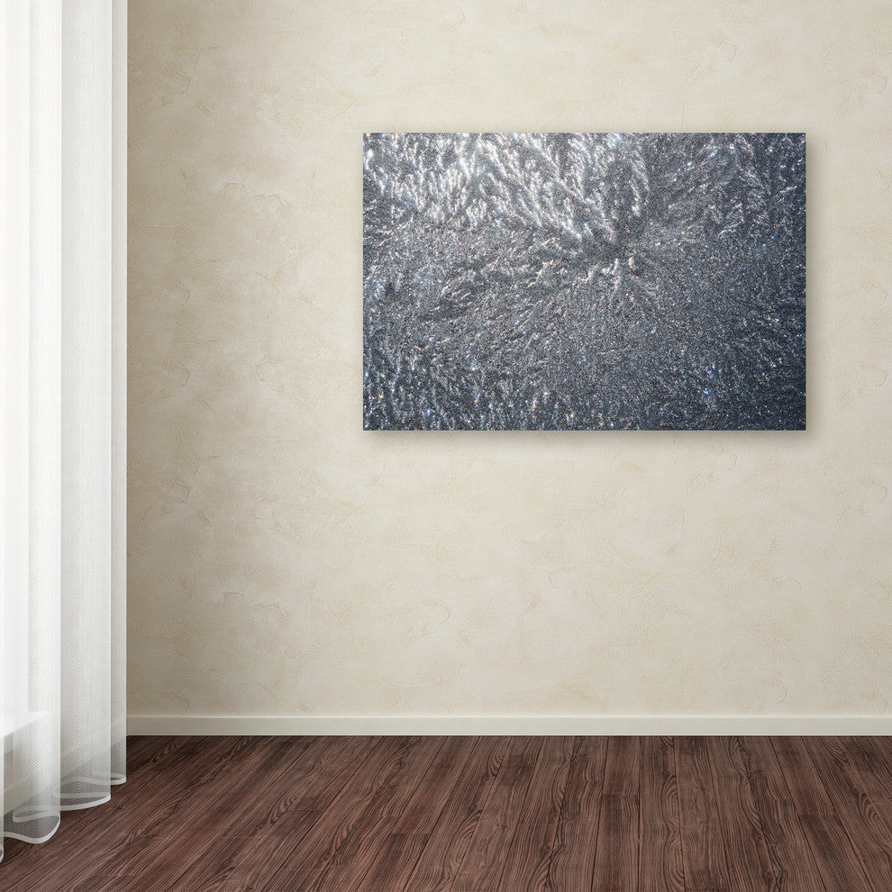 'Sunlight Frost Abstract' Canvas Art by Kurt Shaffer