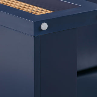 TOV Furniture Suzie Navy & Rattan Desk