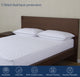 Delara Pillow Protector Set of 2, 300TC, Long Staple Organic Cotton, King, 21"x36"