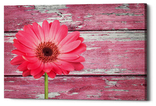 Epic Graffiti "Pink Beginnings" Giclee Canvas Wall Art, 40"x26"