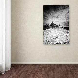 Philippe Sainte-Laudy 'Black Tip' Canvas Art