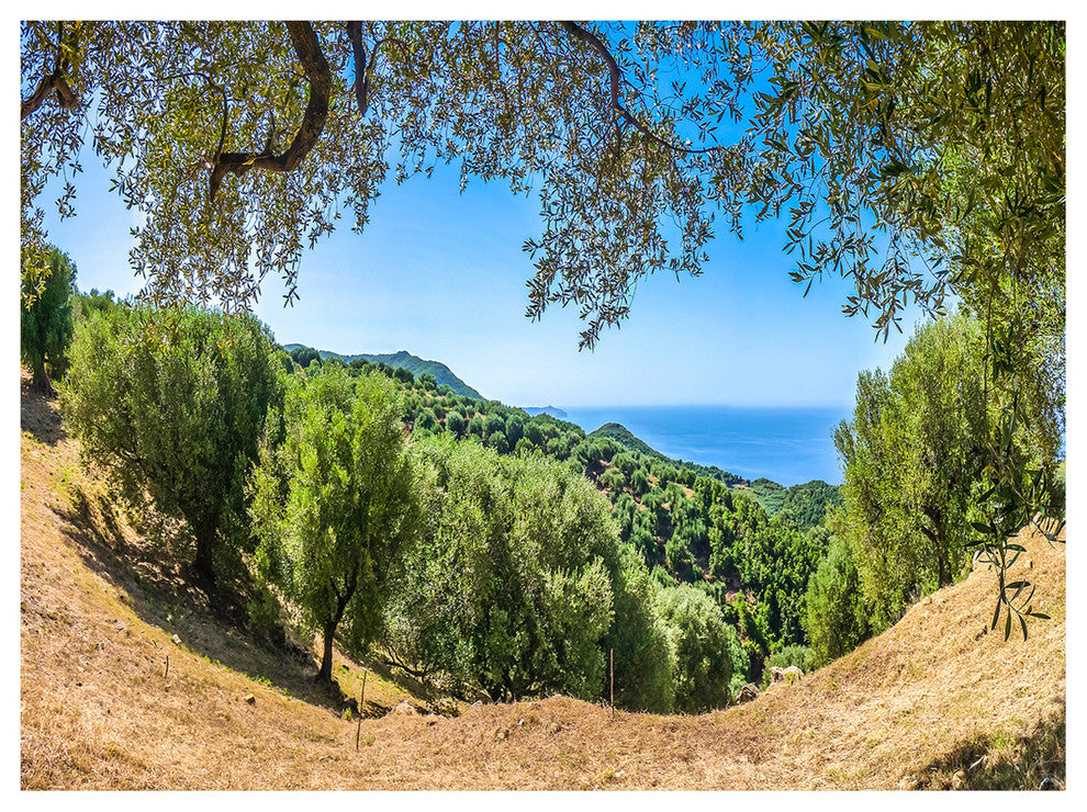 Cilentan Coast Campania Italy, Landscape Canvas Art Print, 40"x30"