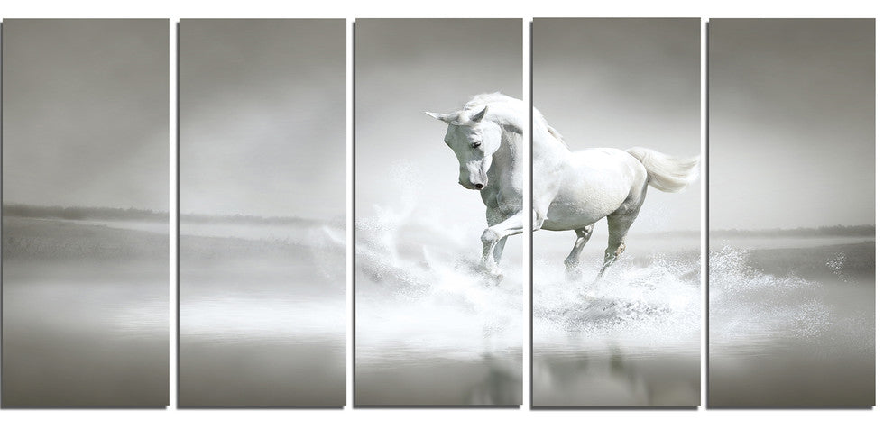 White Horse Running in Water, Animal Canvas Art Print, 60"x28", 5 Panels
