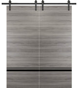 Sturdy Double Barn Door 72 x 84 with | Planum 0012 Grey Matte with  | 13FT