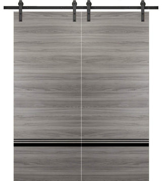 Sturdy Double Barn Door 72 x 84 with | Planum 0012 Grey Matte with  | 13FT