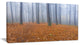 Foggy Dense Forest in autumn, Modern Forest Canvas Art, 32"x16"