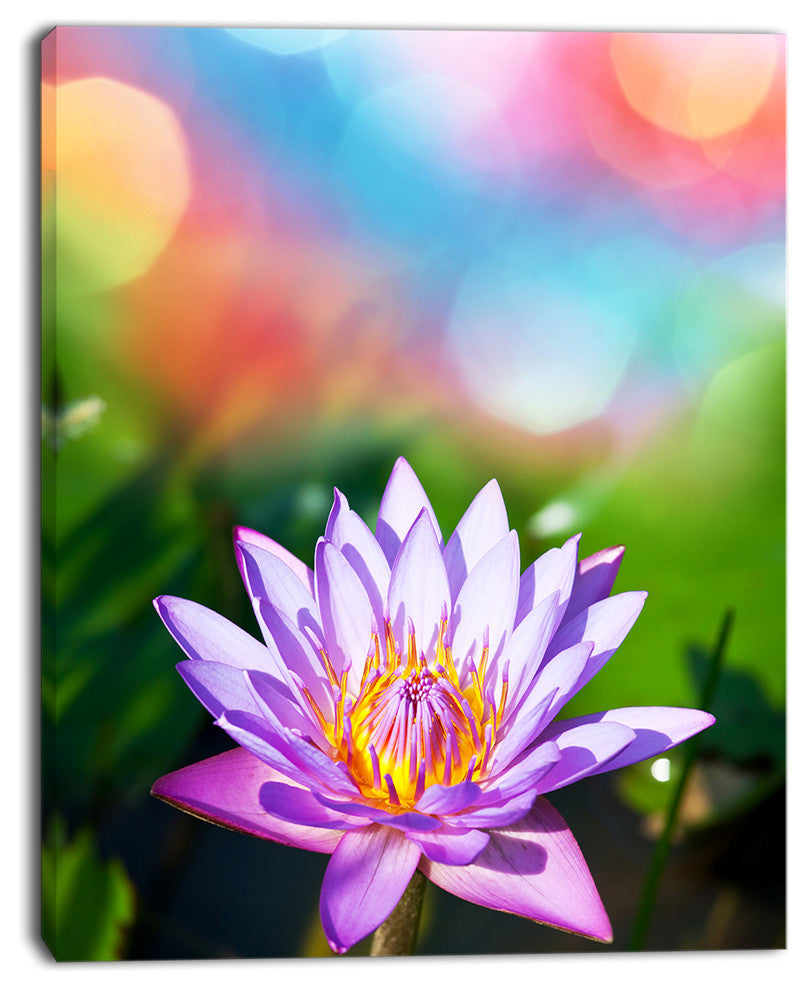 Purple Lotus on Abstract Background, Large Flower Canvas Wall Art, 12"x20"
