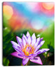 Purple Lotus on Abstract Background, Large Flower Canvas Wall Art, 12"x20"