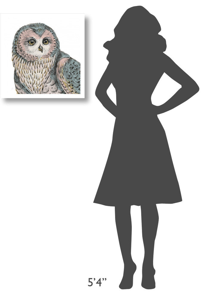 "Beautiful Owls IV Pastel Crop" Paper Print by Daphne Brissonnet, 20"x20"