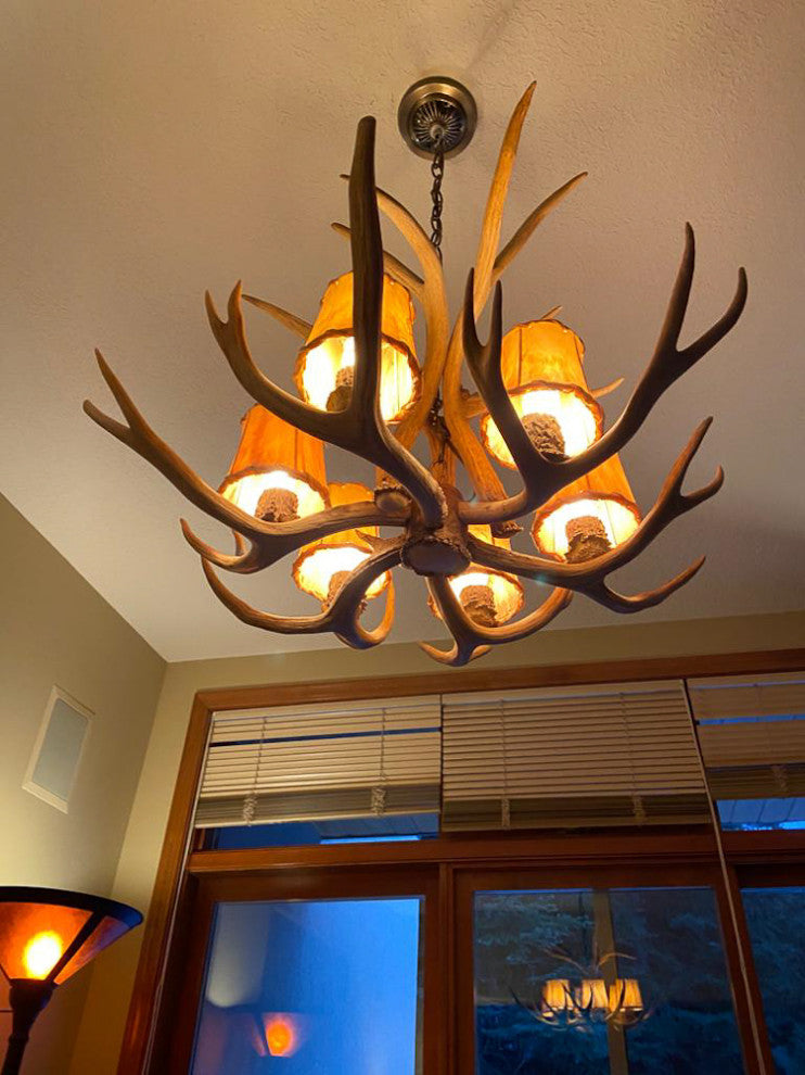 Mule Deer Single Tier Antler Chandelier Light, Medium, No Shades