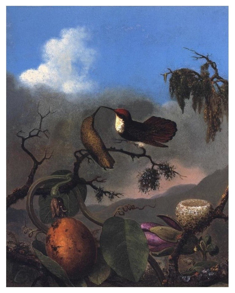 "Ruby Topaz" Digital Paper Print by Martin Johnson Heade, 19"x24"