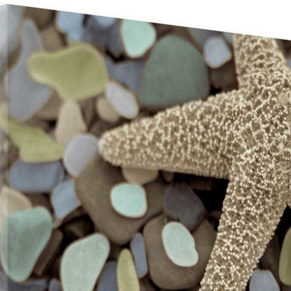11" Two Starfish and Seaglass 4 Giclee Wrap Canvas Wall Art