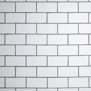 Chester Matte Bianco Ceramic Wall Tile