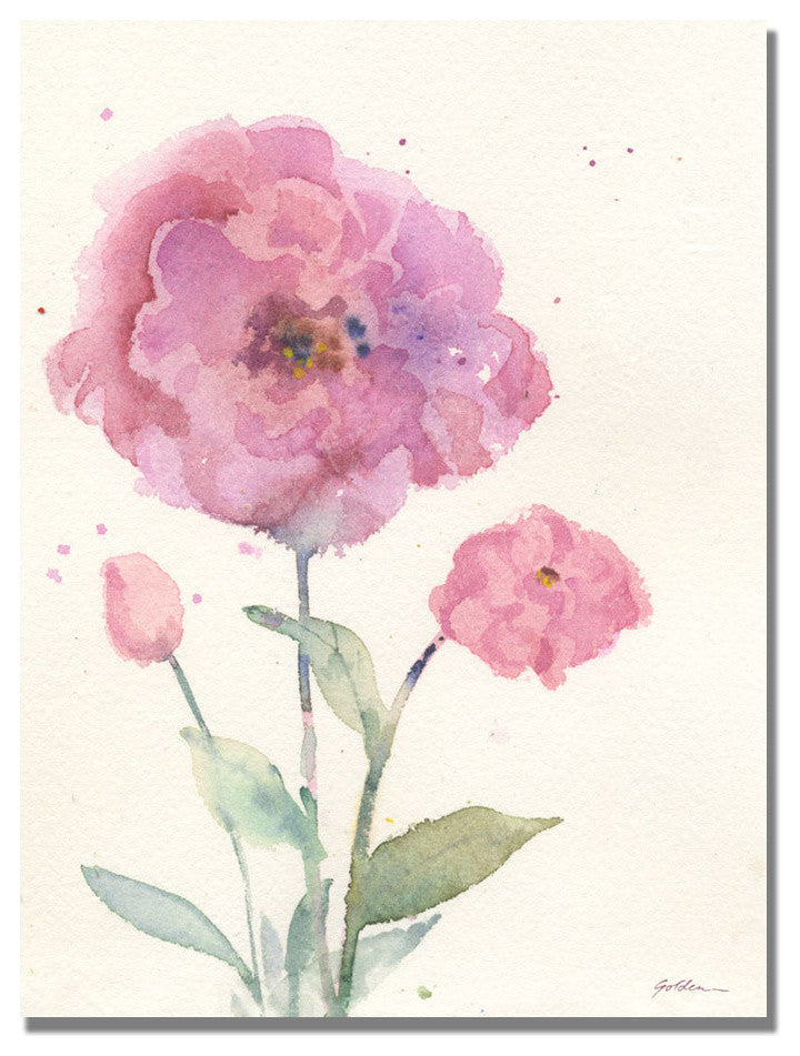 ''Camelia Blush'' Canvas Art by Sheila Golden