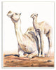 Cute Baby Camel Family Animal Watercolor Painting, 12"x18"