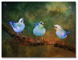 'Three Little Blue Birds' Canvas Art by Lois Bryan