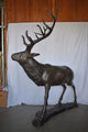 Lifesize And Incredibly Detailed Reindeer Bronze Statue Size: 75" x 50" x 85"H