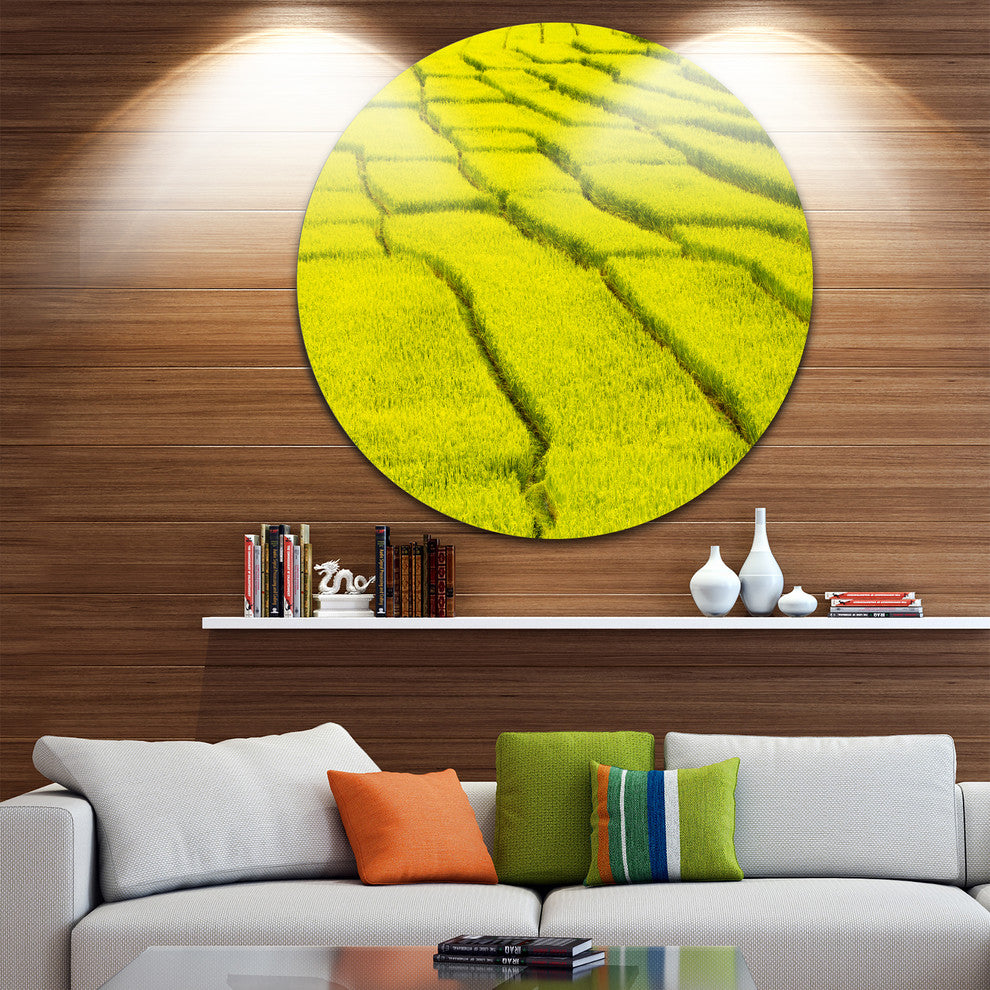 Rice Field View, Landscape Photography Disc Metal Wall Art, 23"